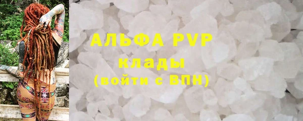 эйфоретик Аркадак