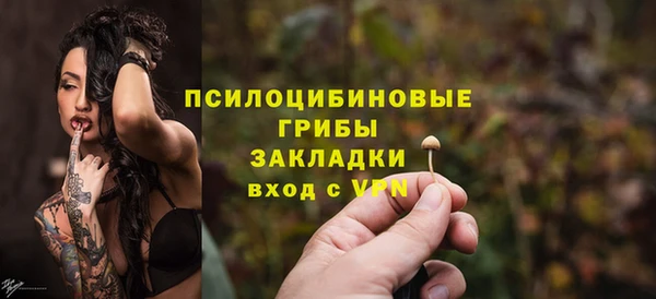 эйфоретик Аркадак