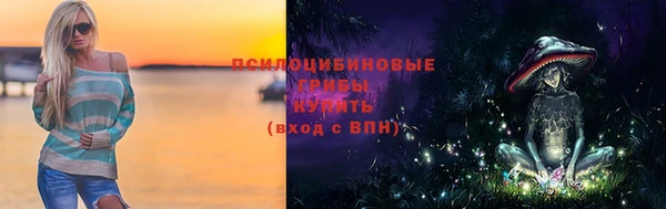 соль ск Алексин