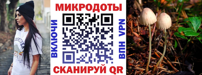 Псилоцибиновые грибы GOLDEN TEACHER  Бабаево 