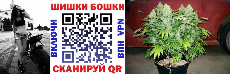 Бошки Шишки VHQ как найти закладки Бабаево